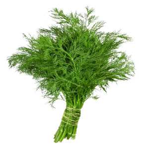 marar verde