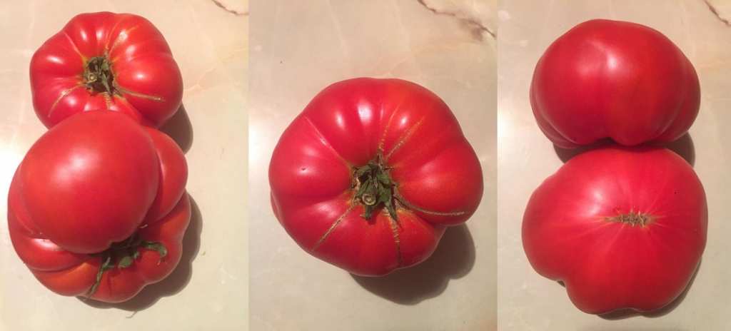 tomate inima de bou 2