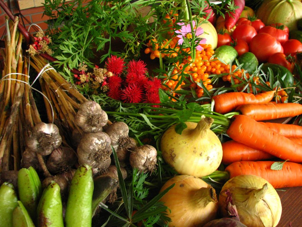 legume ecologice organice-min