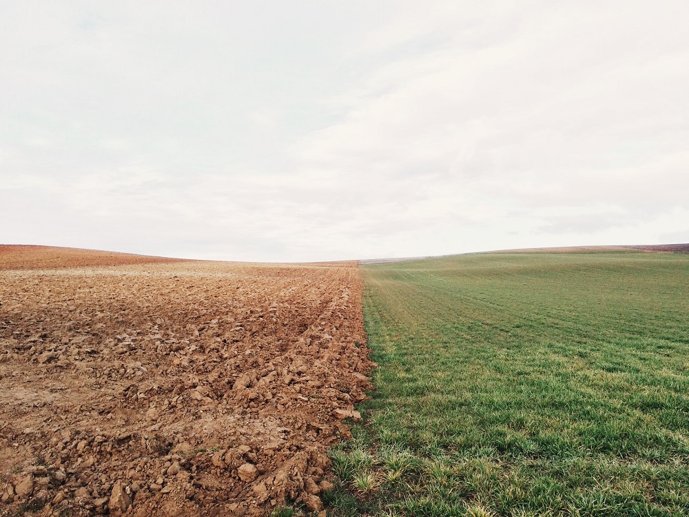 seceta teren madr agricultura